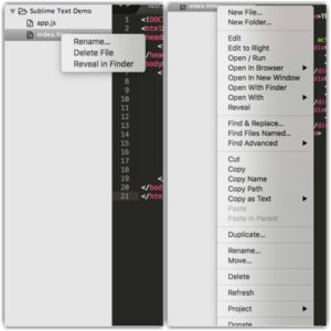Default vs SideBarEnhancements plugin option