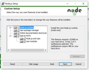 Node and npm installation