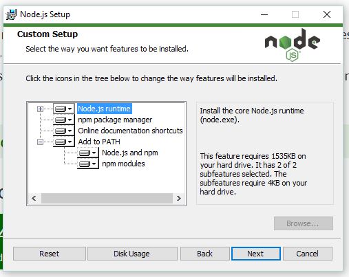 Node and npm installation