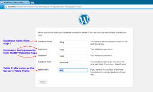 wordpress site setup